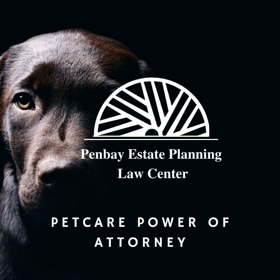 PetCare Power of Attorney